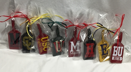 Bag tag - school spirit - made for any school - Image 4