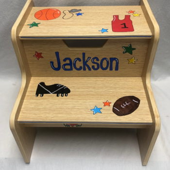 Multi Sports 2-step step stool