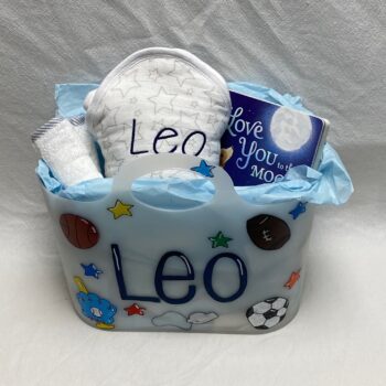Baby bath tote - boy