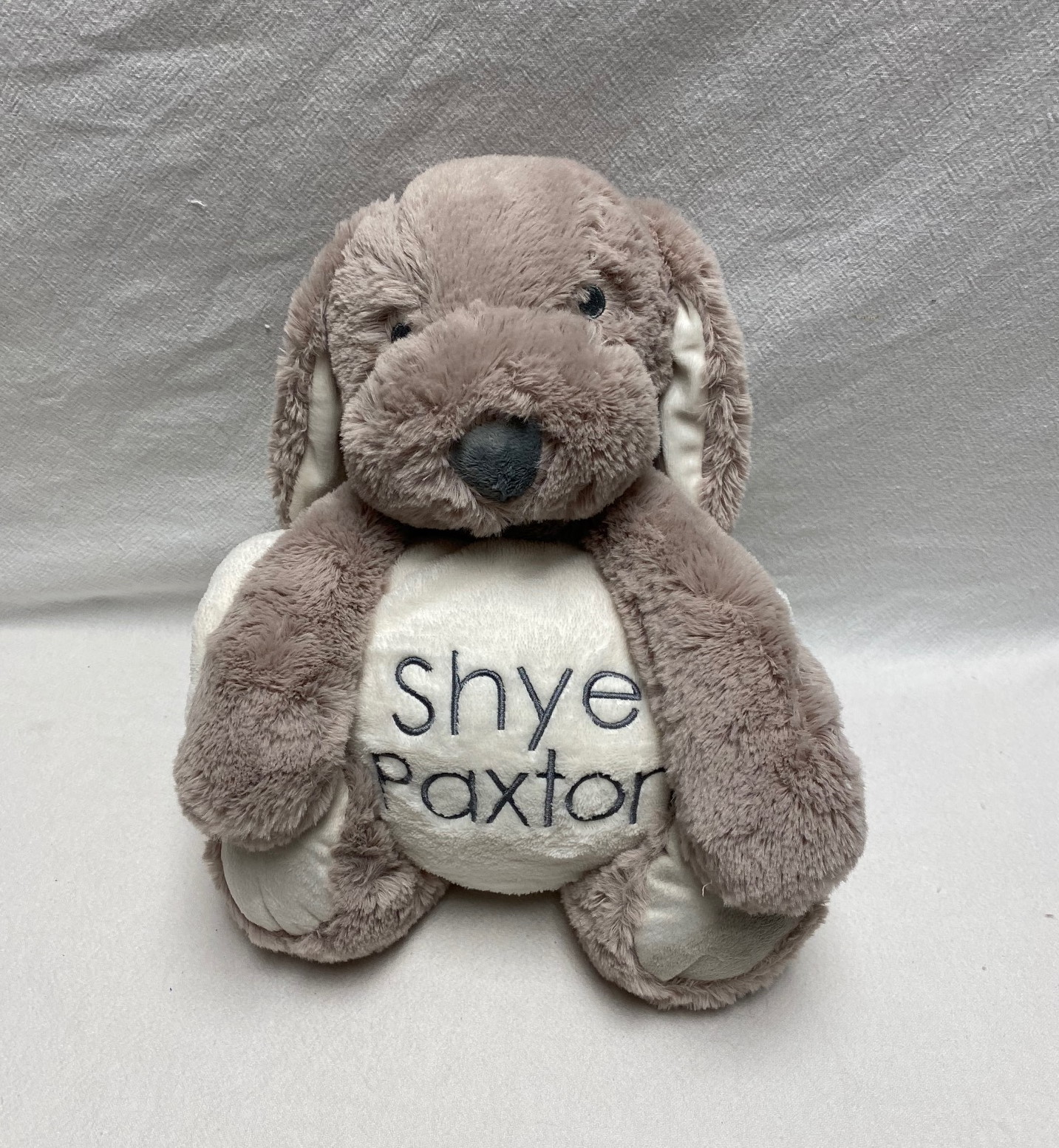 baby huggie puppy and blanket set - Image 4