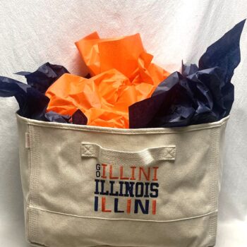 Collegiate canvas bin