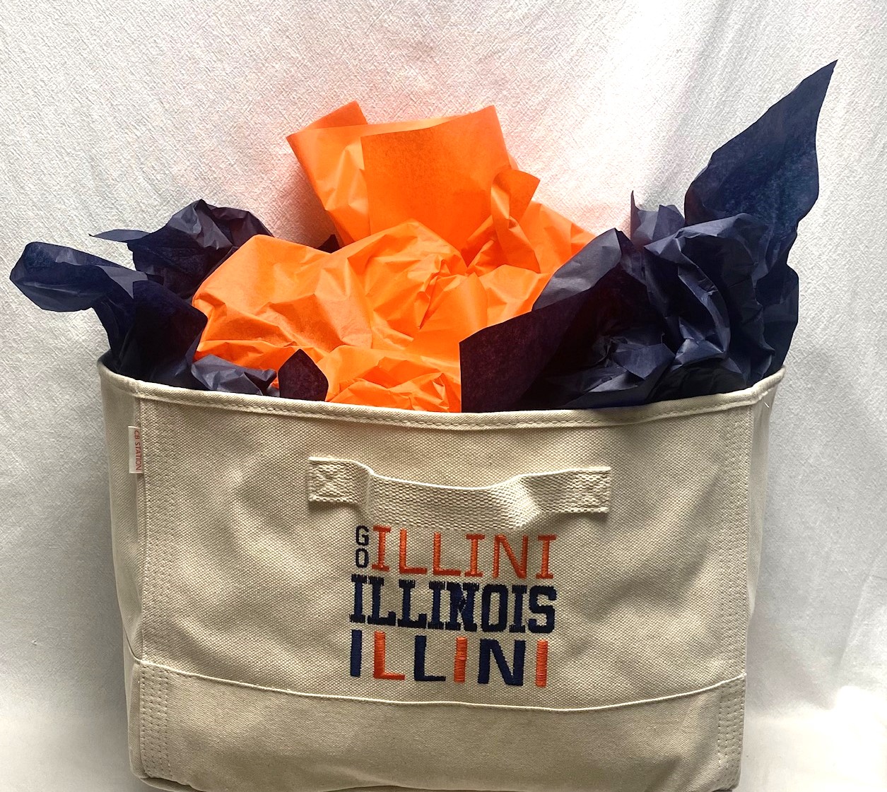 Collegiate canvas bin