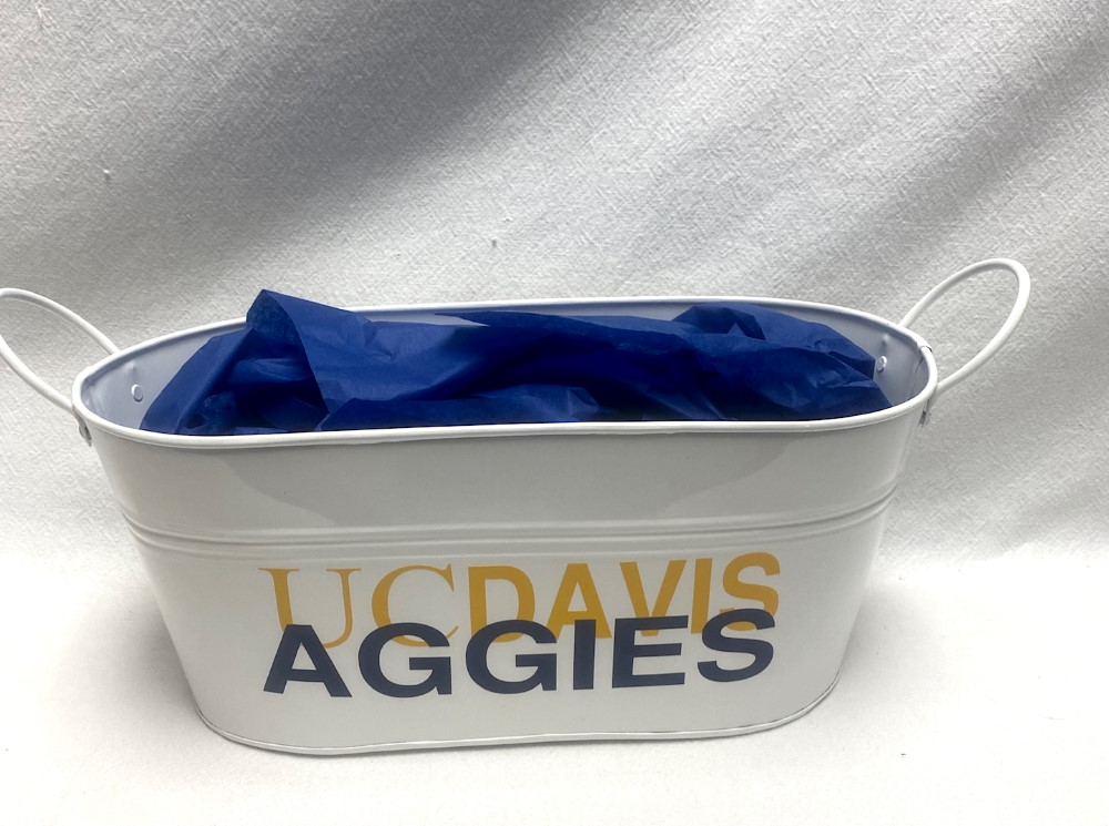 Gift basket - collegiate sweatshirt blanket and catch all tin - Image 7