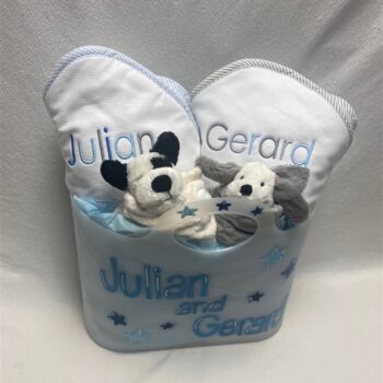 Twins baby gift basket - assorted colors