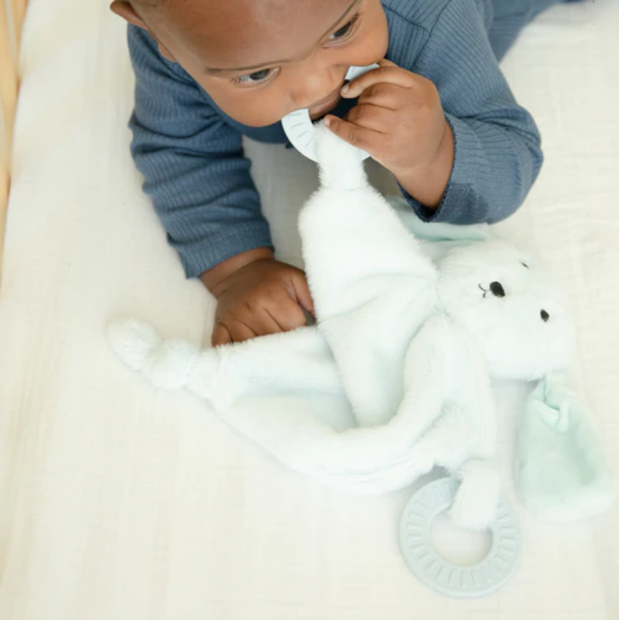 Teether buddy - puppy - out of stock - Image 3